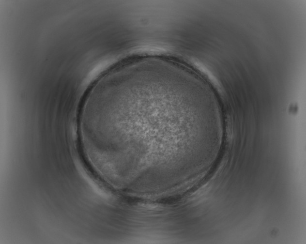 X0000092300582200709281328