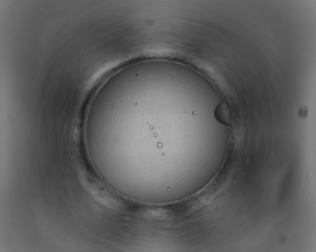 X0000092300583200709281328