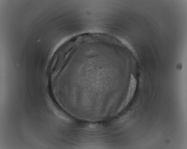 X0000092300584200709281328