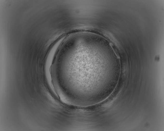 X0000092300585200709281328