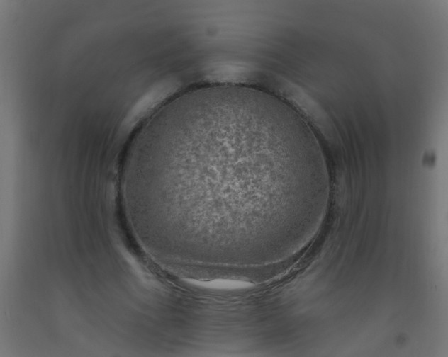 X0000092300586200709281328