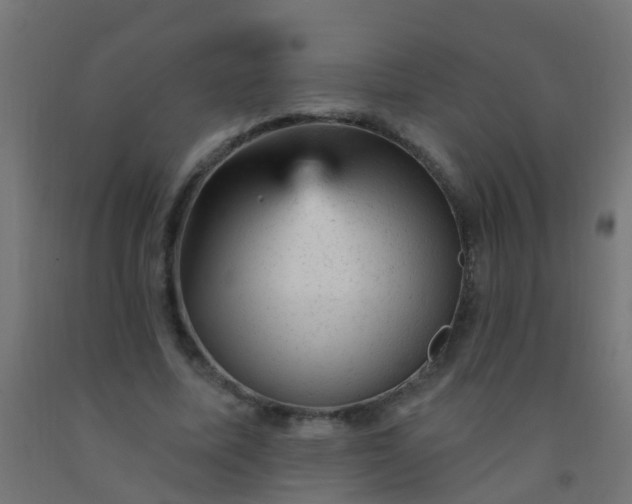 X0000092300587200709281328