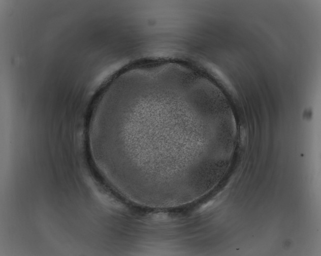 X0000092300588200709281328