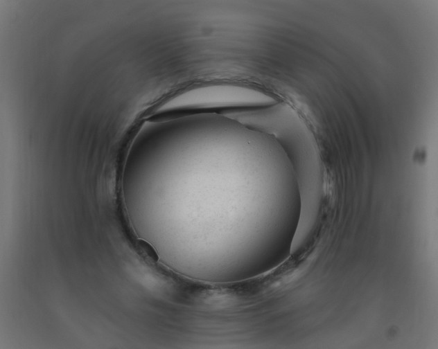 X0000092300589200709281328