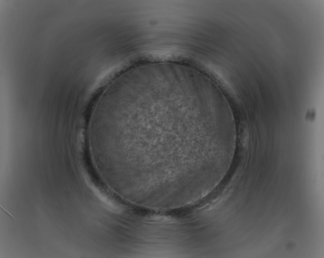 X0000092300590200709281328