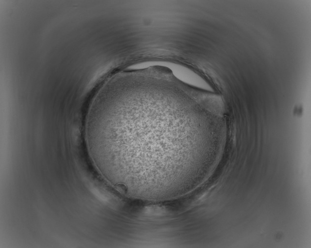 X0000092300591200709281328