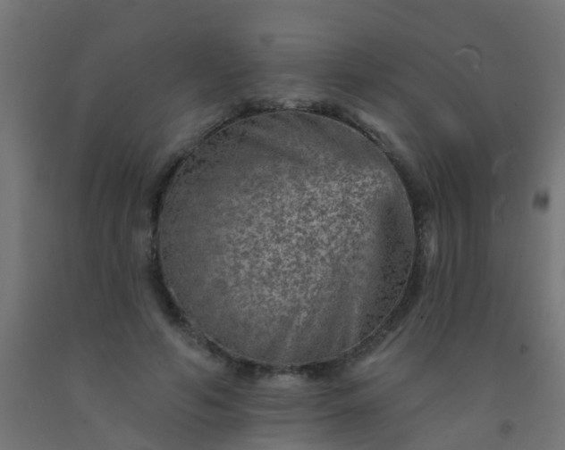 X0000092300594200709281327