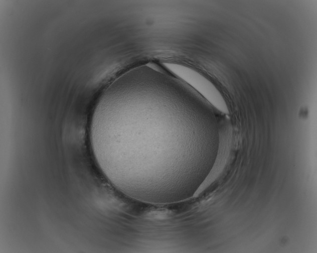 X0000092300595200709281327