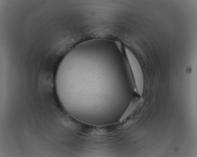 X0000092300599200709281327