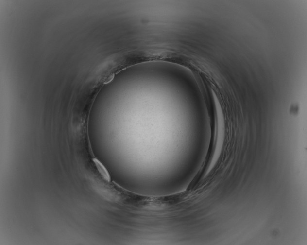 X0000092300601200709281327