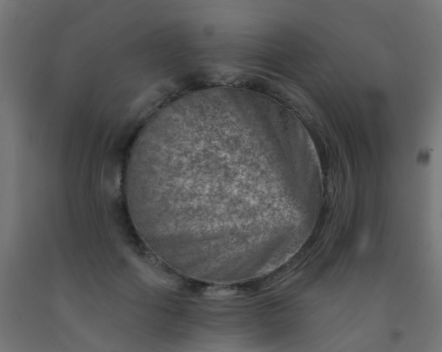 X0000092300602200709281327