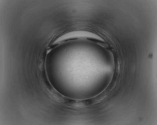 X0000092300604200709281327