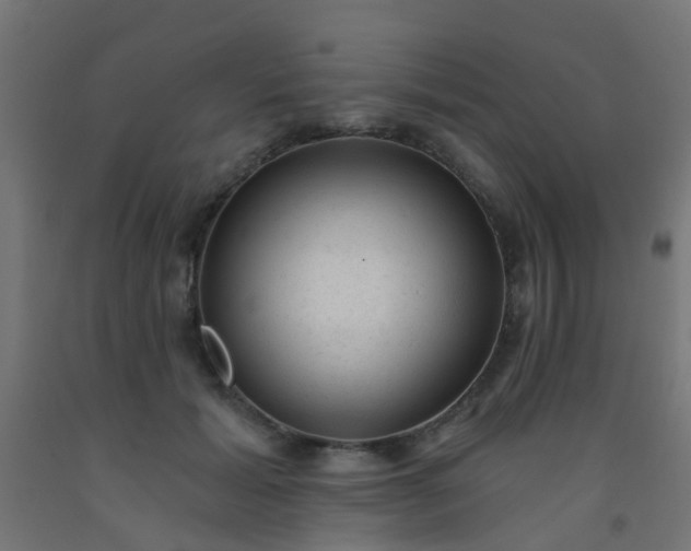 X0000092300605200709281327