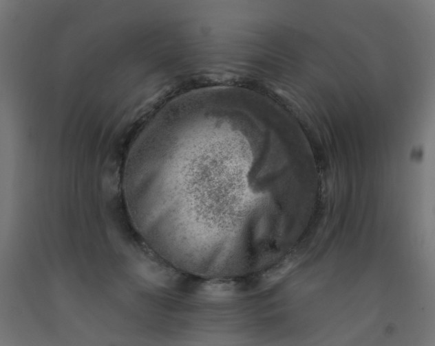 X0000092300606200709281327