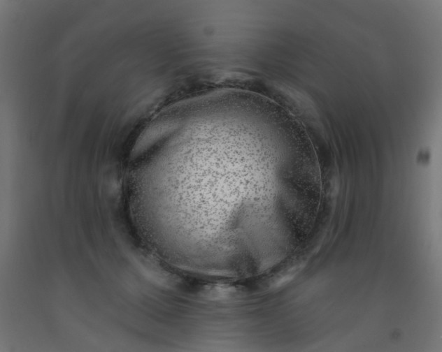 X0000092300607200709281327