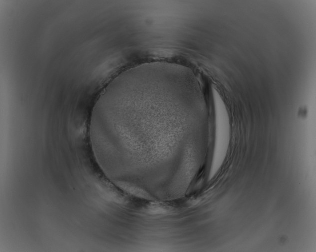 X0000092300608200709281327