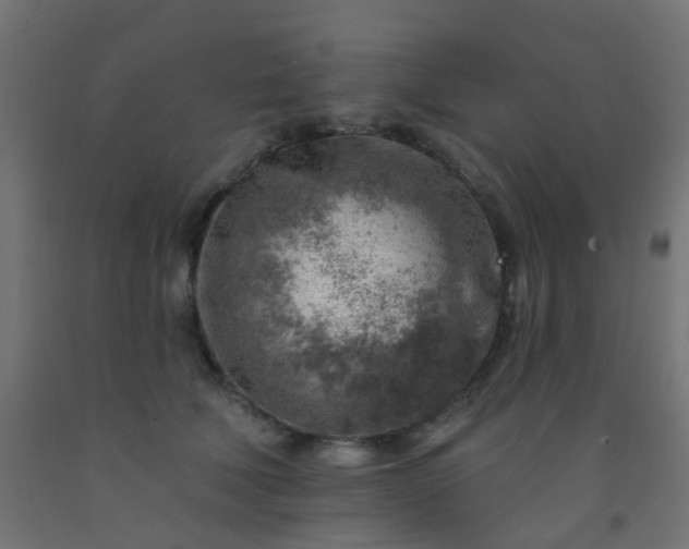 X0000092300610200709281327