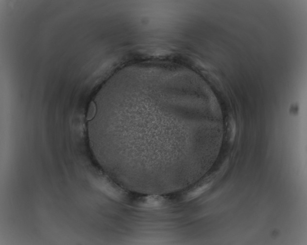 X0000092300612200709281327