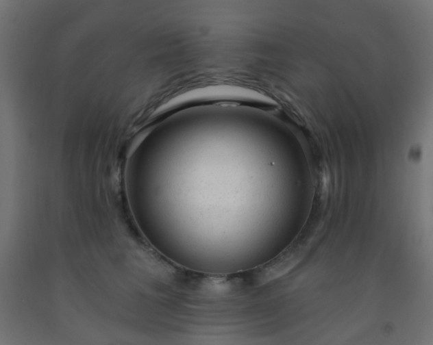 X0000092300613200709281327