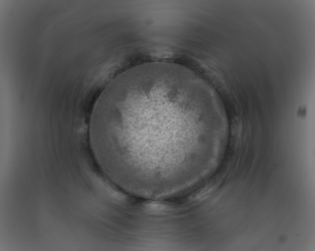 X0000092300614200709281327