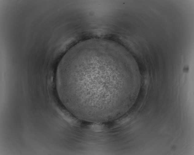 X0000092300615200709281327