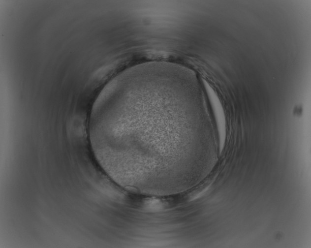 X0000092300616200709281327