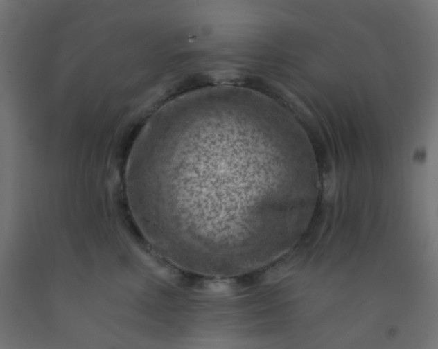 X0000092300618200709281327