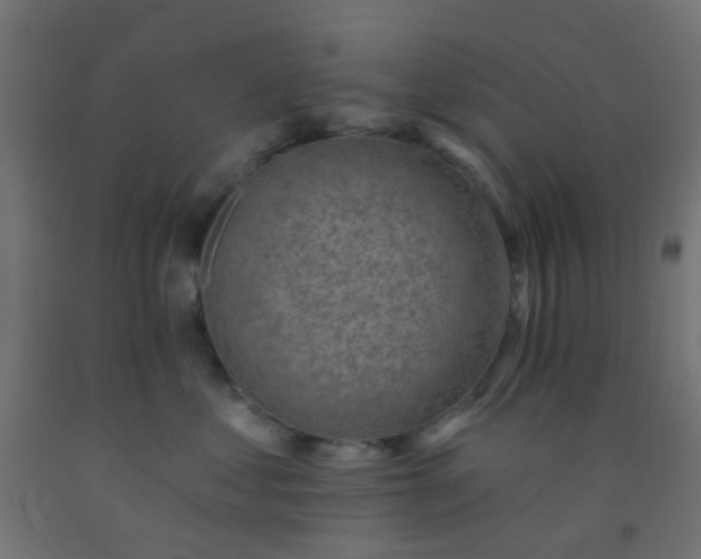 X0000092300621200709281327