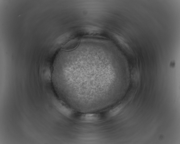 X0000092300622200709281327