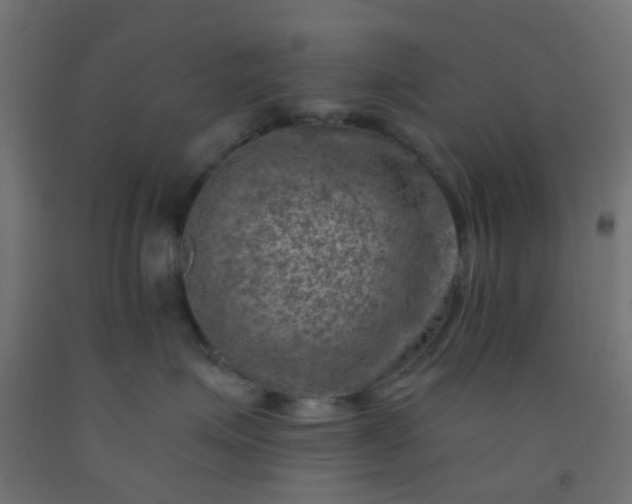 X0000092300623200709281327