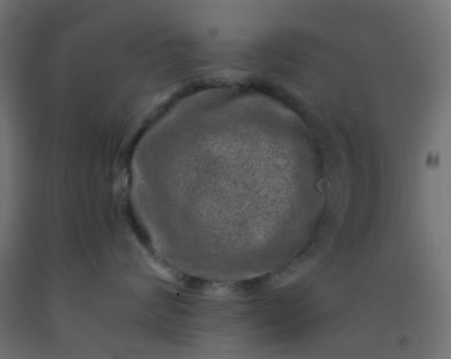 X0000092300624200709281327