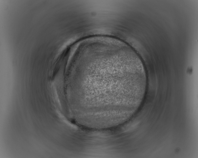 X0000092300625200709281327