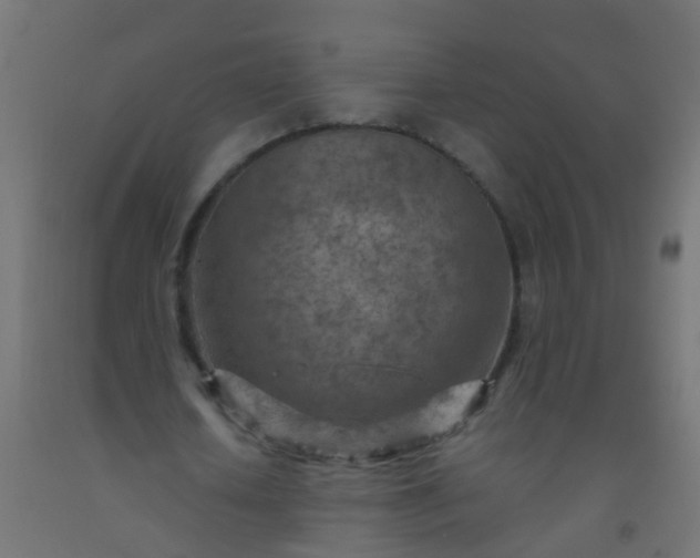 X0000092300626200709281327