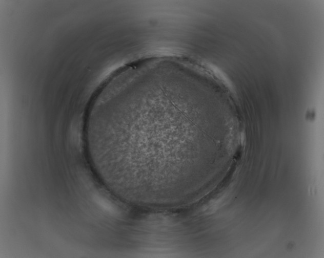 X0000092300627200709281327