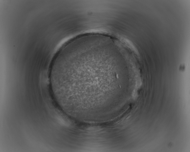 X0000092300628200709281327