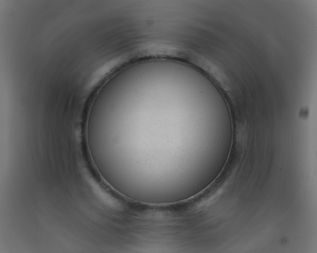 X0000092300629200709281327