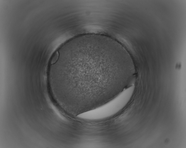 X0000092300630200709281327