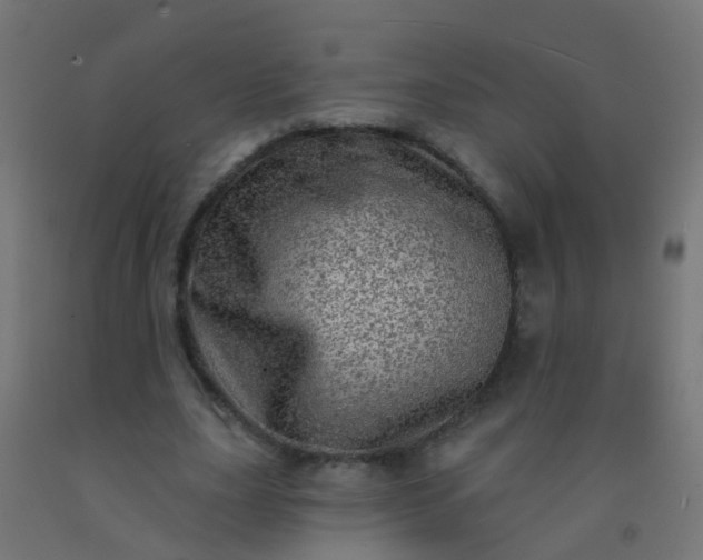 X0000092300631200709281327