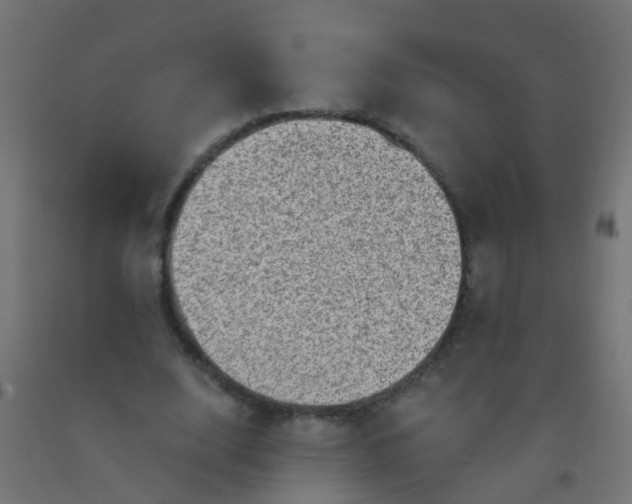 X0000092300632200709281327