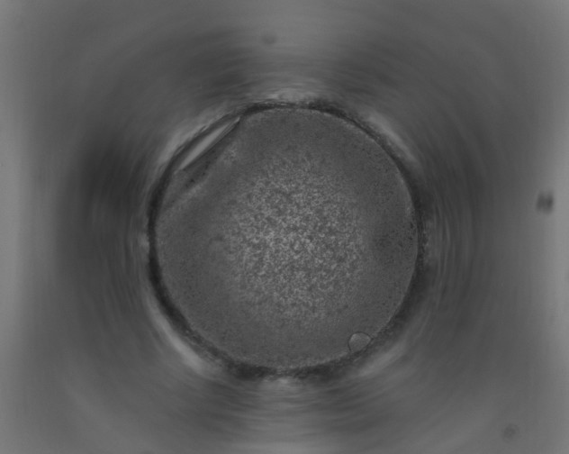 X0000092300634200709281327