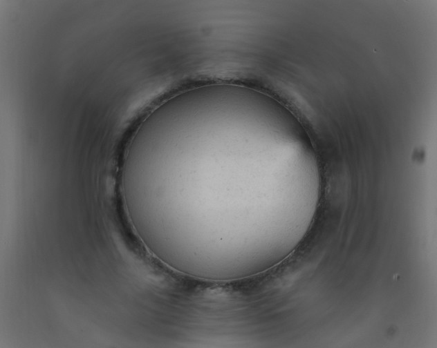 X0000092300635200709281327