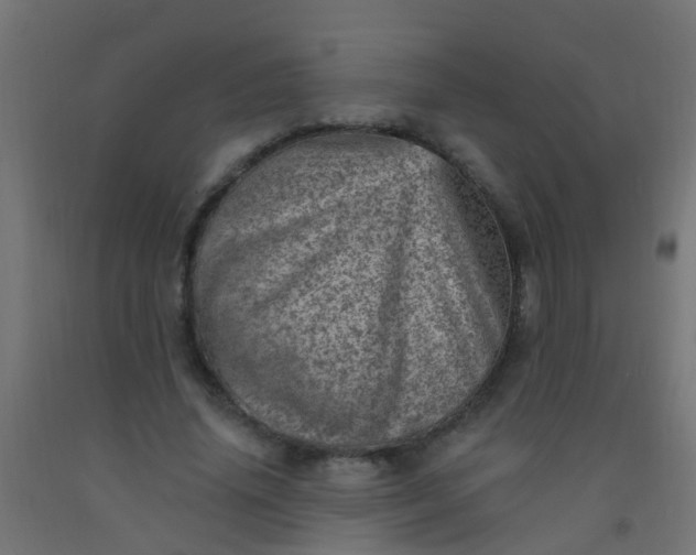 X0000092300636200709281327