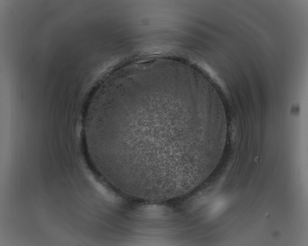 X0000092300637200709281327