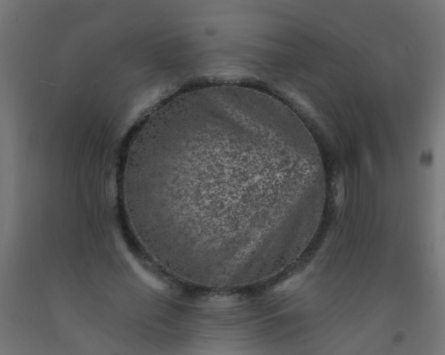 X0000092300638200709281327