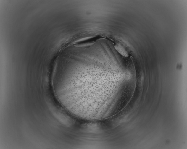 X0000092300639200709281327