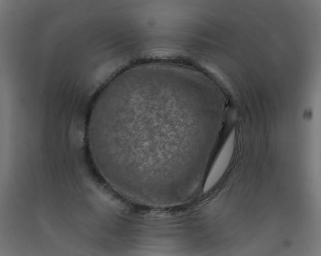 X0000092300640200709281327