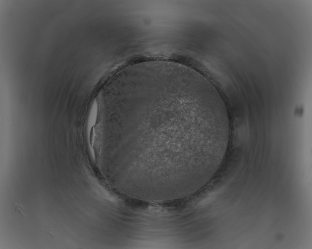 X0000092300641200709281327