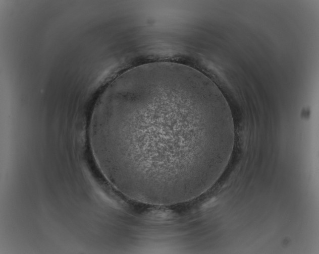 X0000092300642200709281327