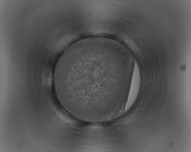 X0000092300644200709281327