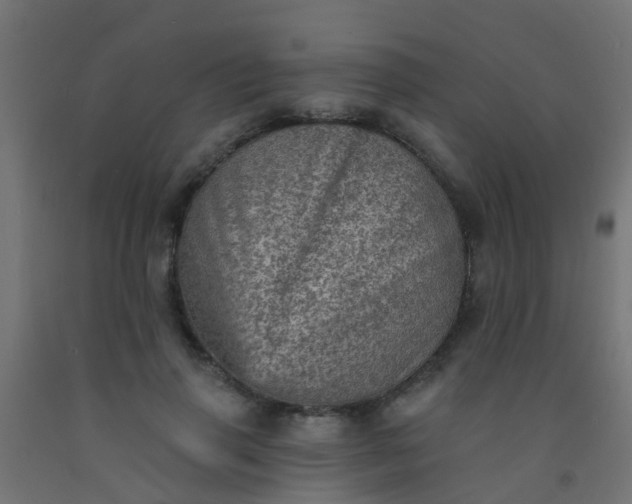 X0000092300645200709281327